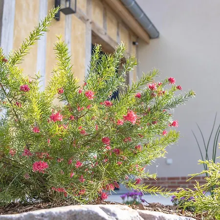 Coeur Au Bois Σπίτι διακοπών Laubressel