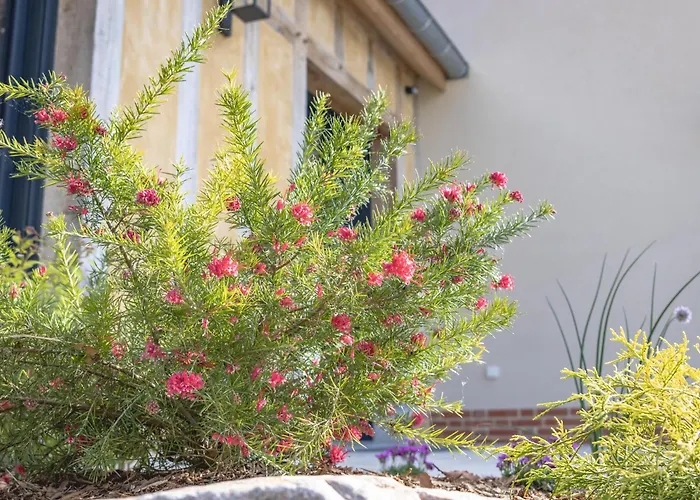 Coeur Au Bois Hébergement de vacances Laubressel